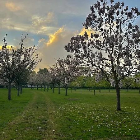 Ines Apartment Honfleur