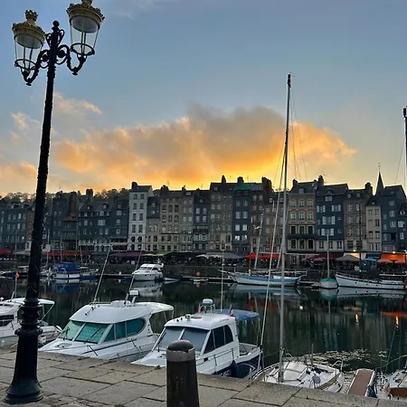Ines Honfleur