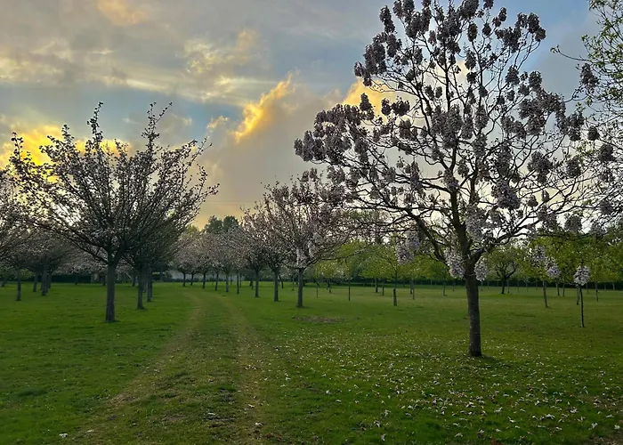 Ines شقة أونفلور